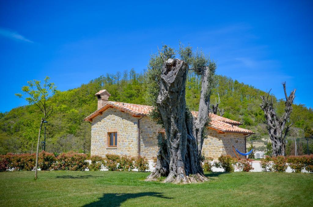 Tenuta Borgo Santa Cecilia Gubbio Exteriör bild